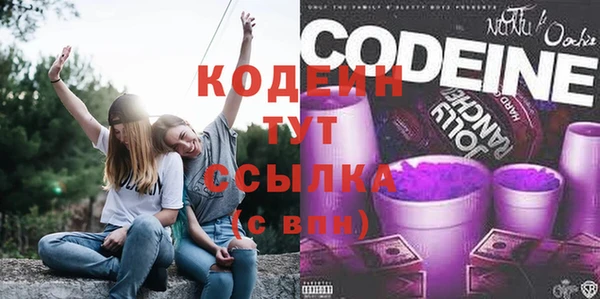 гашик Абаза