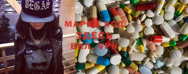 PSILOCYBIN Майский