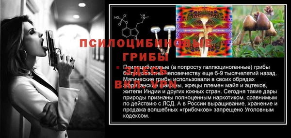 а пвп мука Магас
